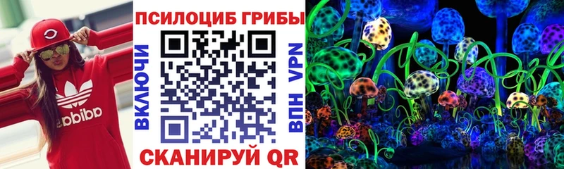 ОМГ ОМГ вход  darknet какой сайт  Псилоцибиновые грибы Psilocybe  Новоржев 